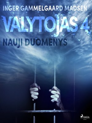 cover image of Valytojas 4